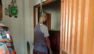 IMG-20251127-WA0113